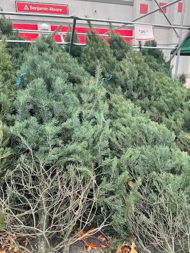 Hardware Store «Westlake Ace Hardware», reviews and photos, 5945 NE Antioch Rd, Gladstone, MO 64119, USA