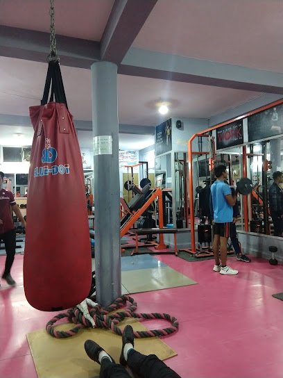 THE WORLD CLASS FITNESS GYM