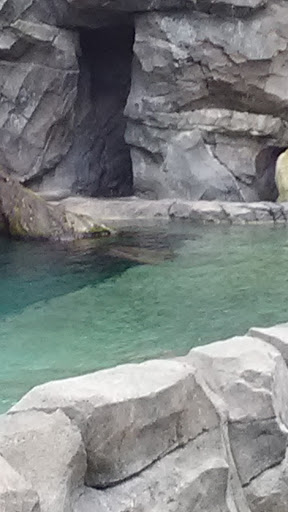 Zoo «Cincinnati Zoo & Botanical Garden», reviews and photos, 3400 Vine St, Cincinnati, OH 45220, USA