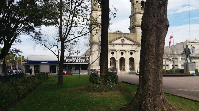 iglesiacatolica.org.uy