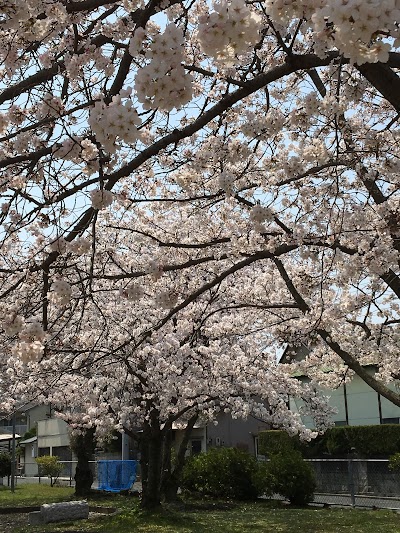 中津公園