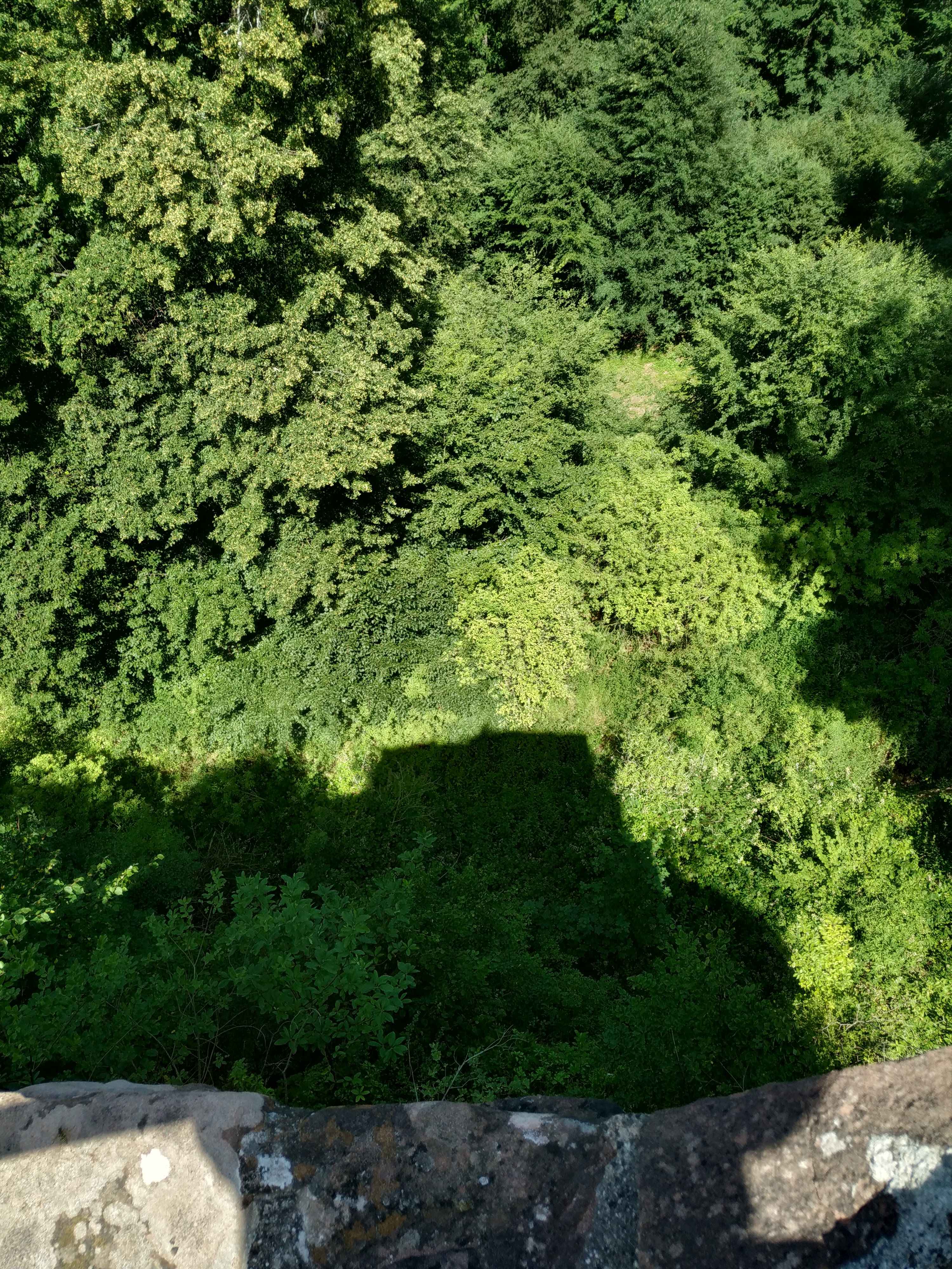 Photo n° 2 de l'avis de Lionel.o fait le 30/06/2019 à 22:02