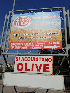 AGRIFIDAM SRL Contrada Forapane, Corso Cardinal Pietro Parente, 102, 71033 Casalnuovo Monterotaro FG, Italia