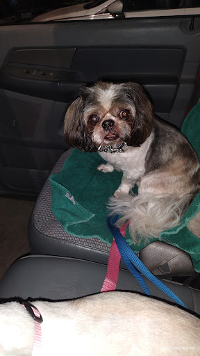 Pet Supply Store «PetSmart», reviews and photos, 4120 E 4th St, Ontario, CA 91764, USA