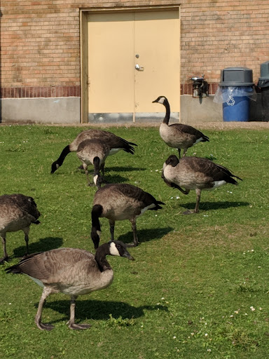 Performing Arts Theater «The Bathhouse Theatre», reviews and photos, 7312 West Green Lake Dr N, Seattle, WA 98103, USA