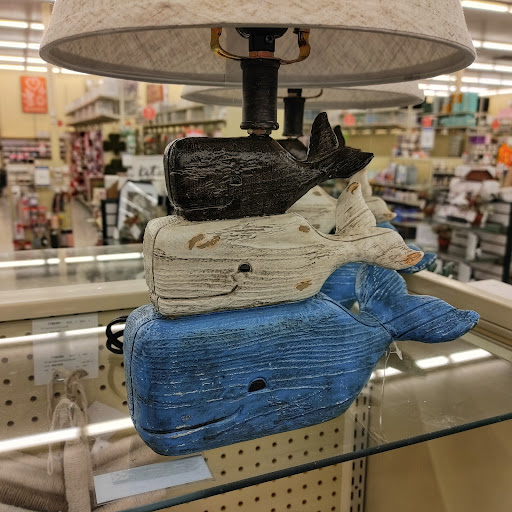 Craft Store «Hobby Lobby», reviews and photos, 3165 S McKenzie St, Foley, AL 36535, USA