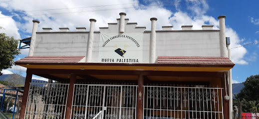 Iglesia Cristiana 'Nueva Palestina'