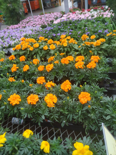 Home Improvement Store «The Home Depot», reviews and photos, 6000 Johnson Dr, Pleasanton, CA 94588, USA