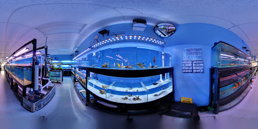 Aquarium Shop «Aquarium Depot», reviews and photos, 11762 SW 88th St, Miami, FL 33186, USA