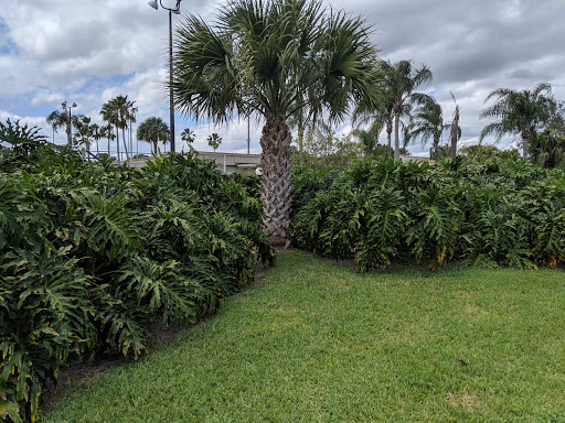 Sports Complex «Historic Dodgertown - Vero Beach», reviews and photos, 3901 26th St, Vero Beach, FL 32960, USA