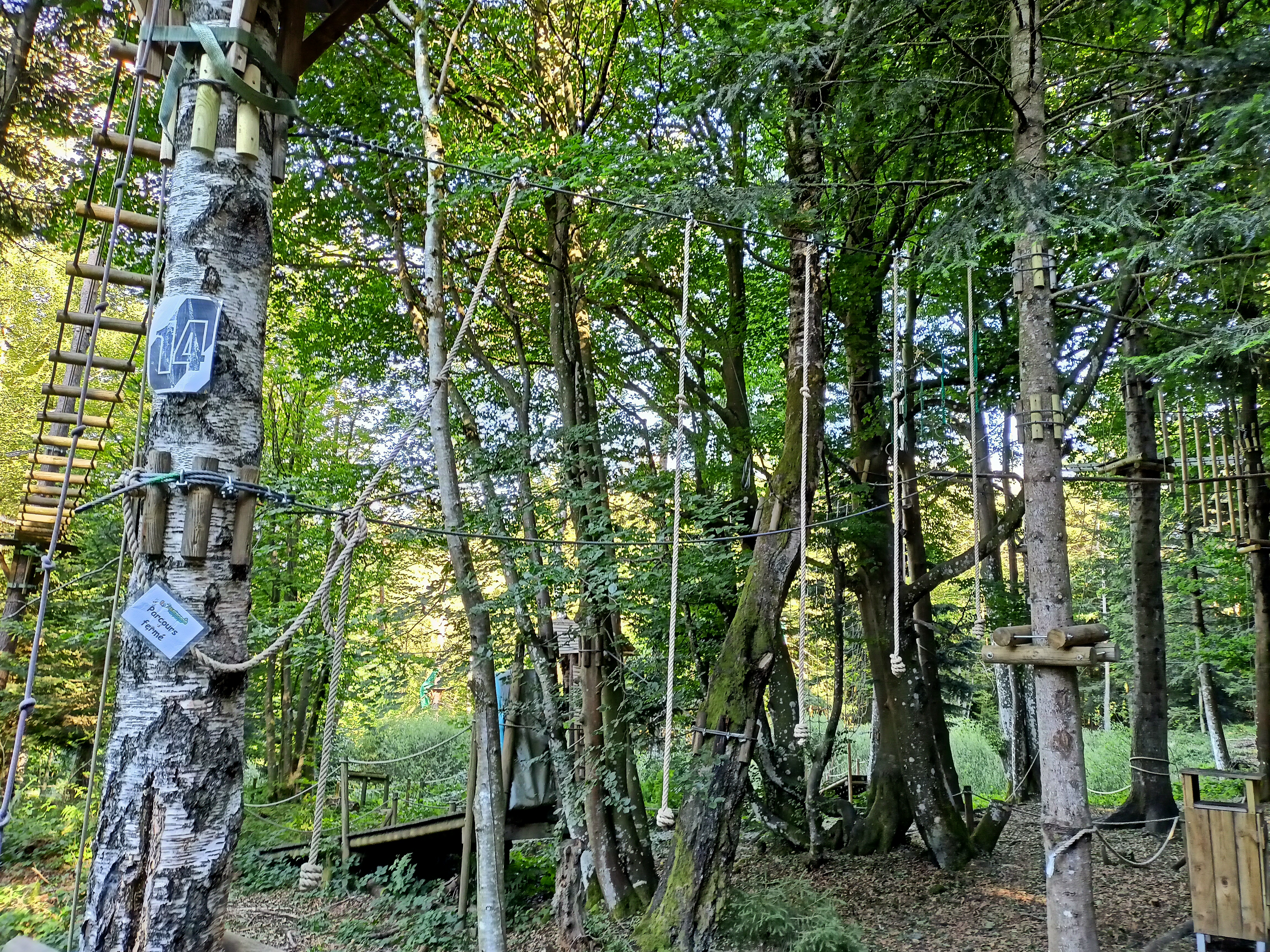 Photo n° 1 de l'avis de Jean.o fait le 29/07/2022 à 11:03