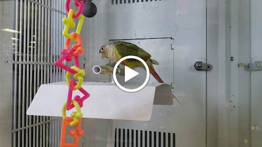 Pet Supply Store «Petco Animal Supplies», reviews and photos, 1530 Black Lake Blvd SW D, Olympia, WA 98502, USA