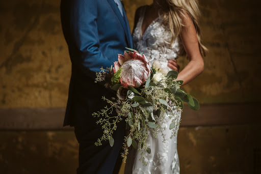 Amor