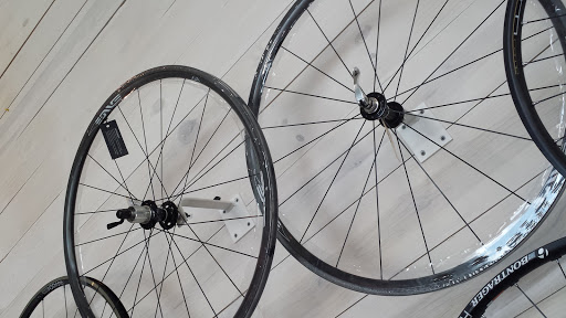 Bicycle Store «Bike World at 281», reviews and photos, 15675 San Pedro Ave, San Antonio, TX 78232, USA