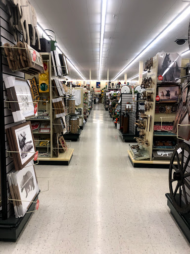 Craft Store «Hobby Lobby», reviews and photos, 30 Arnold Park Dr, Arnold, MO 63010, USA