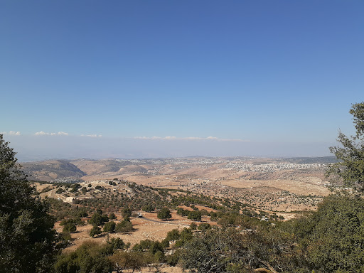 Movie Theater «AMC Mayfair Mall 18», reviews and photos, 2500 N Mayfair Rd M186, Wauwatosa, WI 53226, USA