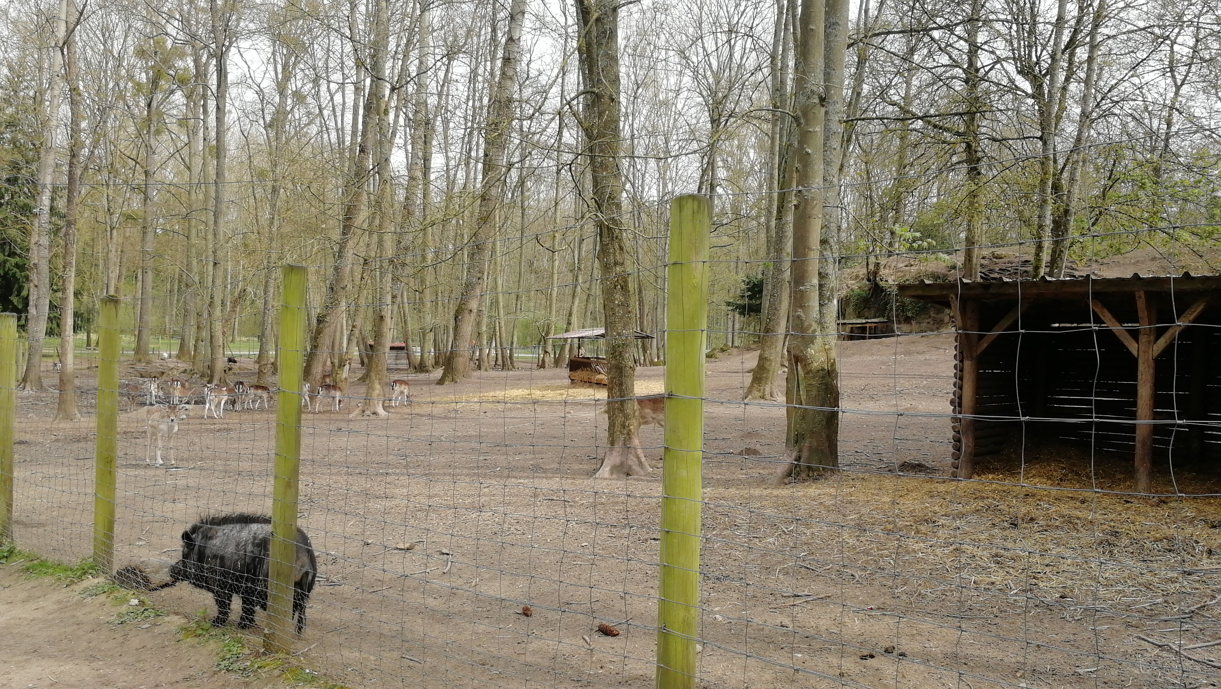 Photo n° 4 de l'avis de Yann.t fait le 07/04/2019 à 18:56
