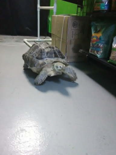 Pet Store «Parker Exotic Pets», reviews and photos, 17880 Cottonwood Dr, Parker, CO 80134, USA