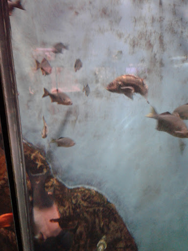 Pet Supply Store «Petco Animal Supplies», reviews and photos, 4950 S 76th St, Greenfield, WI 53220, USA