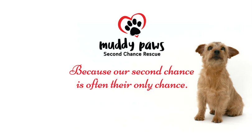 Muddy Paws Second Chance Rescue