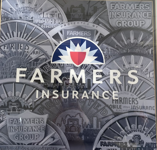 Insurance Agency «Farmers Insurance - Sandra Cavoto», reviews and photos