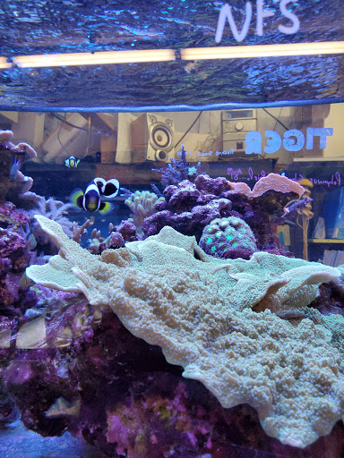 Pet Store «Pet Connection», reviews and photos, 29551 Five Mile Road, Livonia, MI 48154, USA