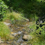 Photo n°9 de l'avis de Piter.G fait le 21/06/2020 à 10:19 sur le  Buschenschank Weingut Haidenhof à Tscherms