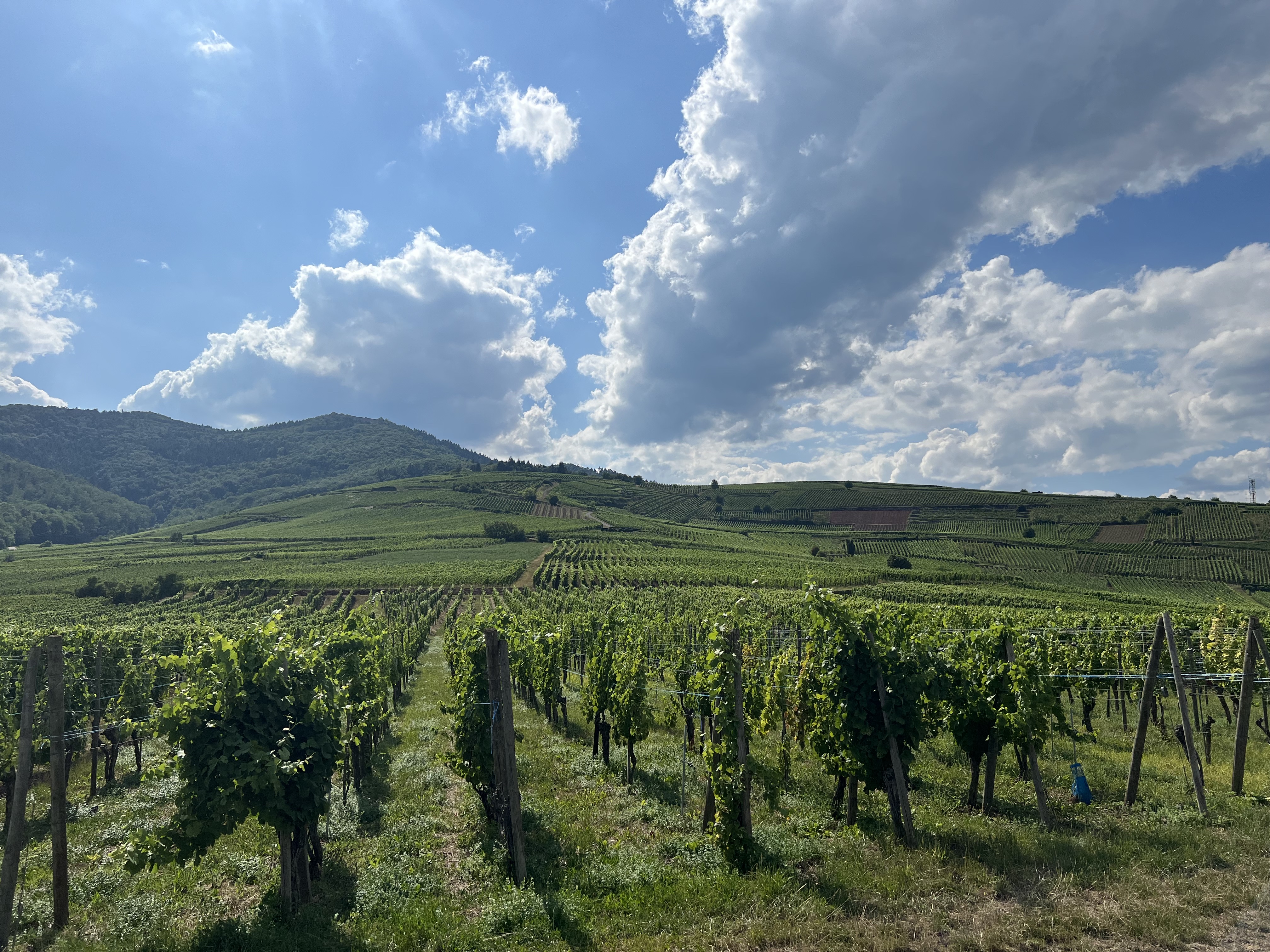 Photo n° 1 de l'avis de Valérie.o fait le 21/07/2022 à 16:09