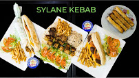 Photos du propriétaire du Restaurant Sylane Kebab à Cannes - n°2