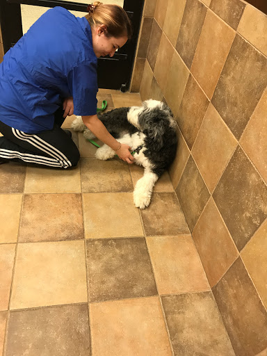 Pet Supply Store «PetSmart», reviews and photos, 916 Loganville Hwy, Bethlehem, GA 30620, USA