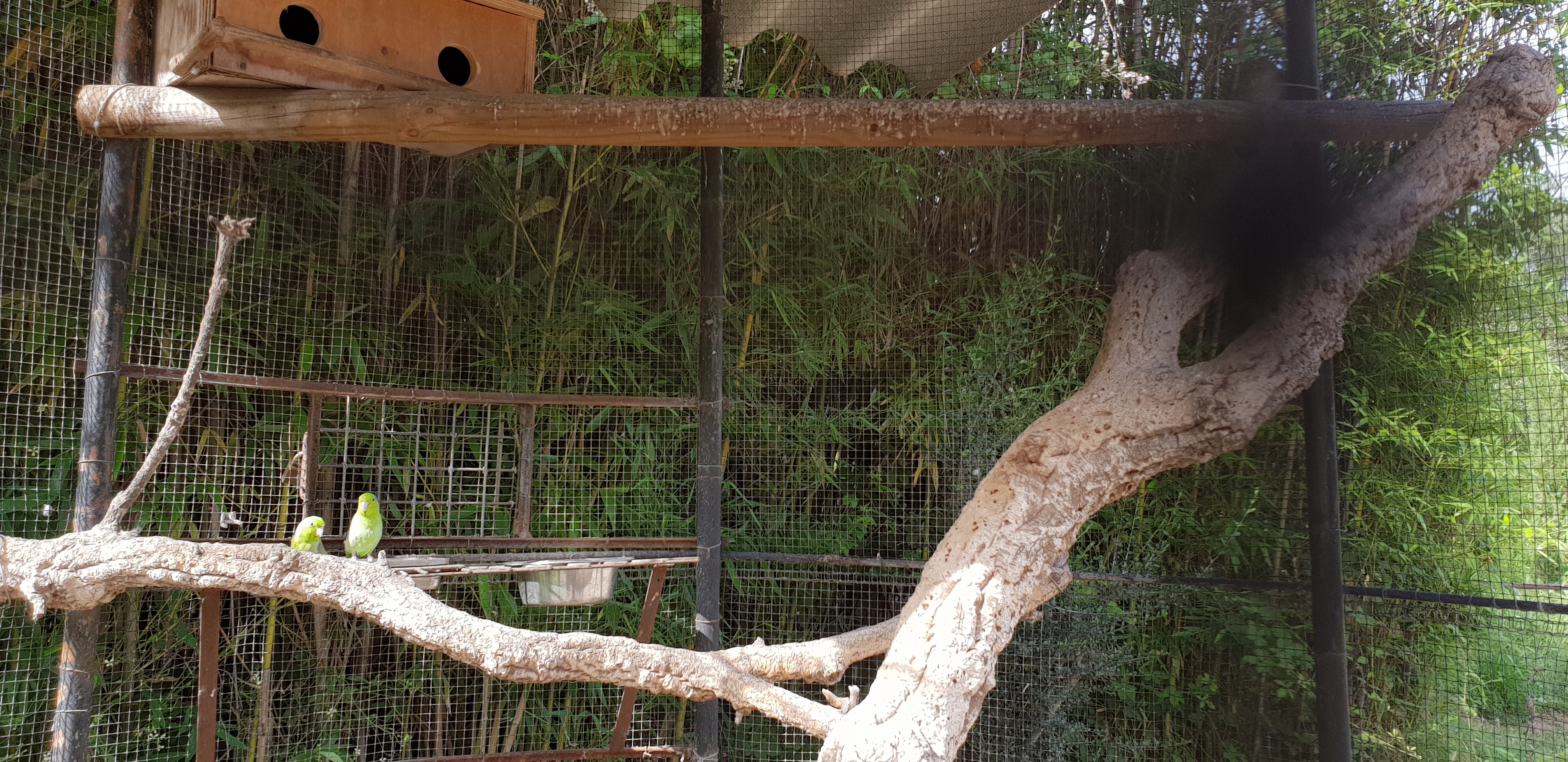 Photo n° 7 de l'avis de Anthony. fait le 11/06/2018 à 14:44