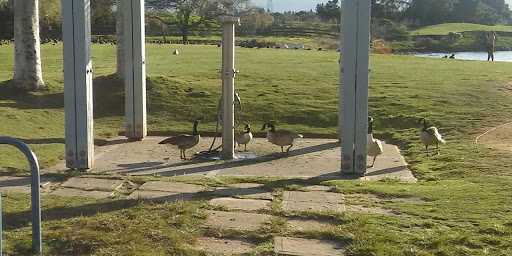 Recreation Center «Shoreline Lake Boathouse», reviews and photos, 3160 N Shoreline Blvd, Mountain View, CA 94043, USA