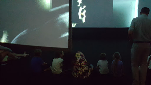 Modern Art Museum «Modern Art Museum of Fort Worth», reviews and photos, 3200 Darnell St, Fort Worth, TX 76107, USA