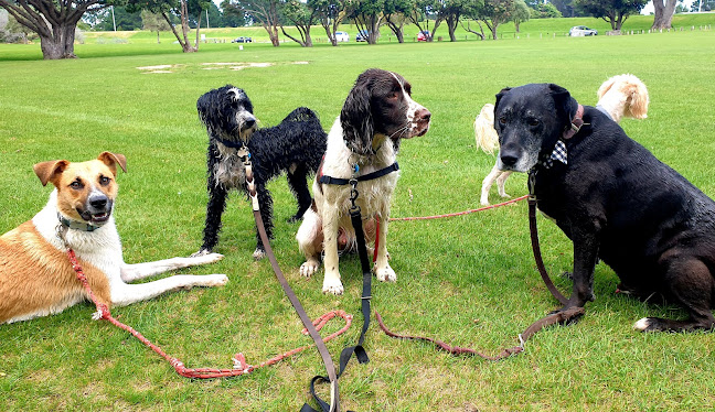 Reviews of Best Friends Pet Care Wellington in Blenheim - Dog trainer