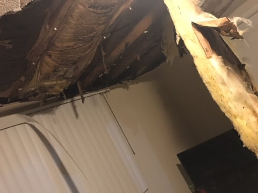 Roofing Contractor «Parlament Roofing and Construction», reviews and photos, 12880 Automobile Blvd l, Clearwater, FL 33762, USA