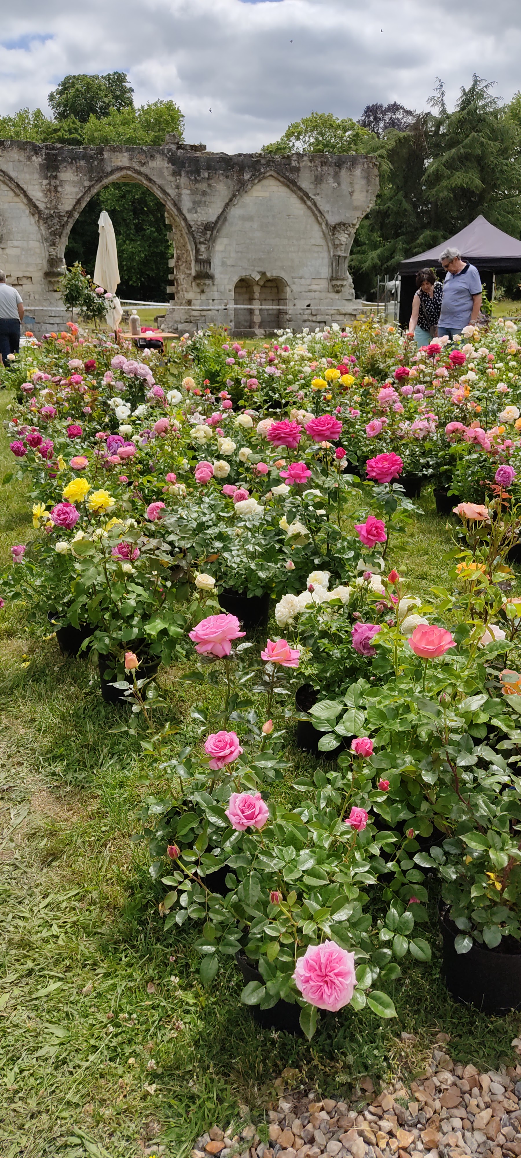 Photo n° 13 de l'avis de Envol95.� fait le 10/06/2022 à 15:49