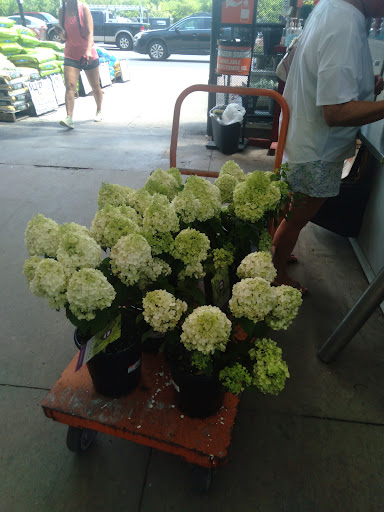 Home Improvement Store «The Home Depot», reviews and photos, 135 Commercial Rd, Leominster, MA 01453, USA