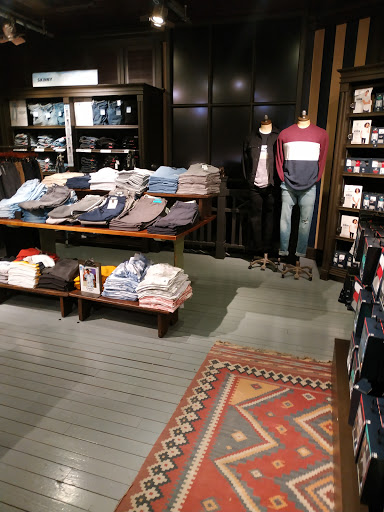 Hollister Co.