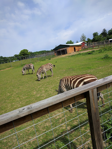 Zoo «Plumpton Park Zoo», reviews and photos, 1416 Telegraph Rd, Rising Sun, MD 21911, USA