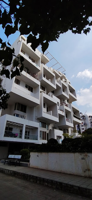 Google Maps image 15