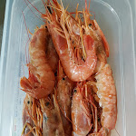 Photo n°4 de l'avis de Said.e fait le 04/04/2018 à 07:56 sur le  Snack fes à Brescia