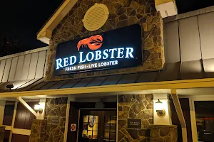 Red Lobster image