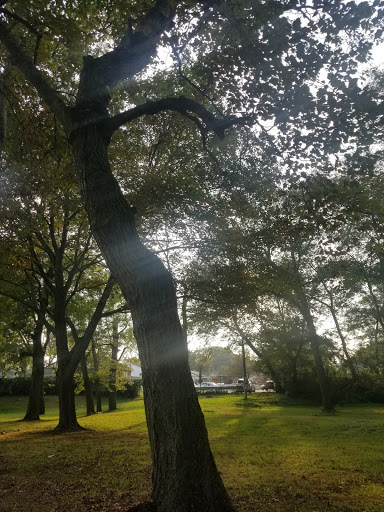 Park «Reverend Arthur Mackey Park», reviews and photos, 242 Elmwood Ave, Roosevelt, NY 11575, USA