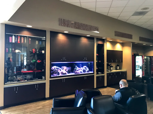 Used Car Dealer «Stevens Creek Toyota Certified Used Cars», reviews and photos, 380 Kiely Blvd, San Jose, CA 95129, USA