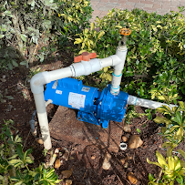 Florida lawn care & landscape design, LLC - Photo 9 - Car repair in , Port St. Lucie