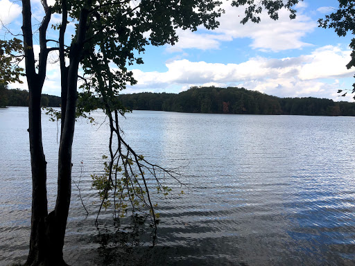 National Park «Great Falls Park, Virginia», reviews and photos, 9200 Old Dominion Dr, McLean, VA 22102, USA