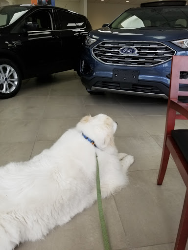 Ford Dealer «Ford of Englewood, Inc.», reviews and photos, 40 Van Nostrand Ave, Englewood, NJ 07631, USA