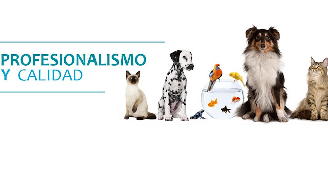 Centro Medico Veterinario San Francisco