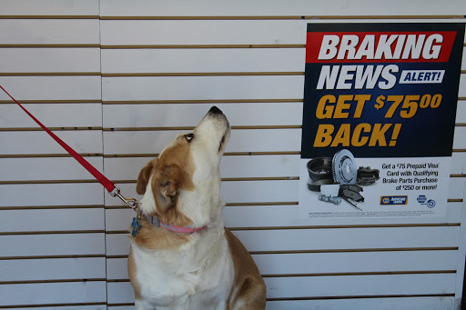 Oil Change Service «Protime Automotive», reviews and photos, 4880 Haygood Rd, Virginia Beach, VA 23455, USA