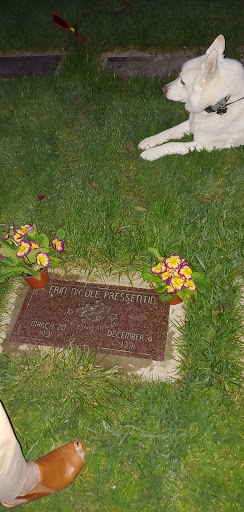 State Park «Willamette Stone State Heritage Site», reviews and photos, 253 NW Skyline Blvd, Portland, OR 97210, USA